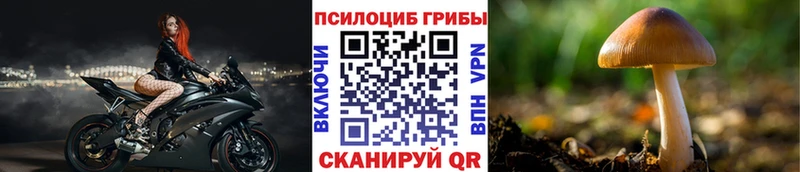 Псилоцибиновые грибы мицелий  площадка официальный сайт  Южноуральск 